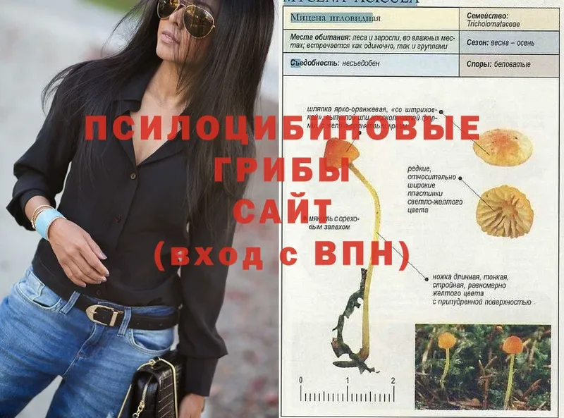 Названия наркотиков Сорочинск A PVP  МЕФ  Гашиш  АМФ  COCAIN 